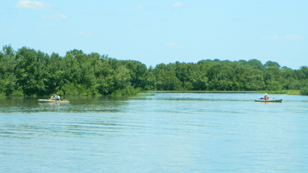 kayaks in the wetland area